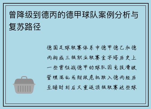 曾降级到德丙的德甲球队案例分析与复苏路径